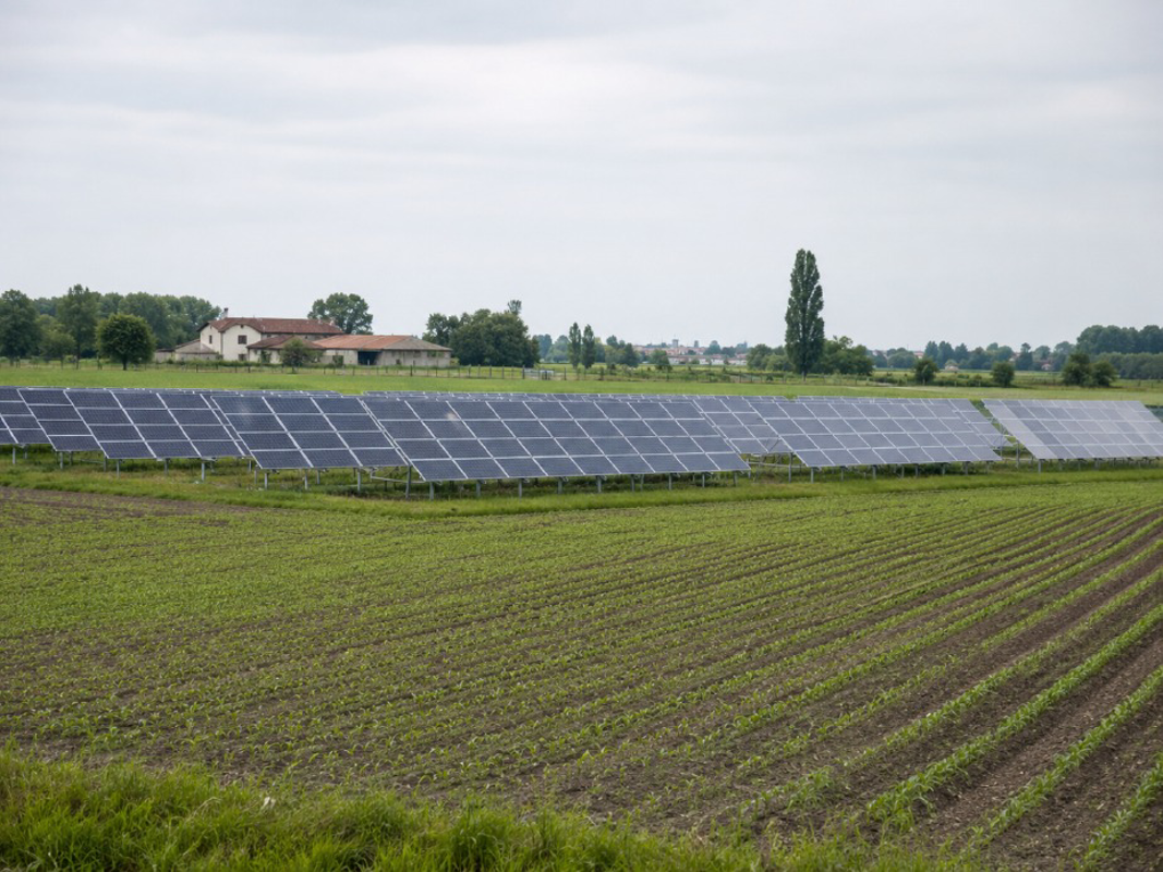 Cremona - Pannelli solari nei campi, arriva il limite