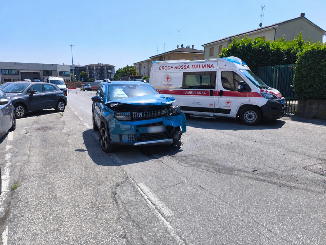 Dal territorio - Panda contro un pullman