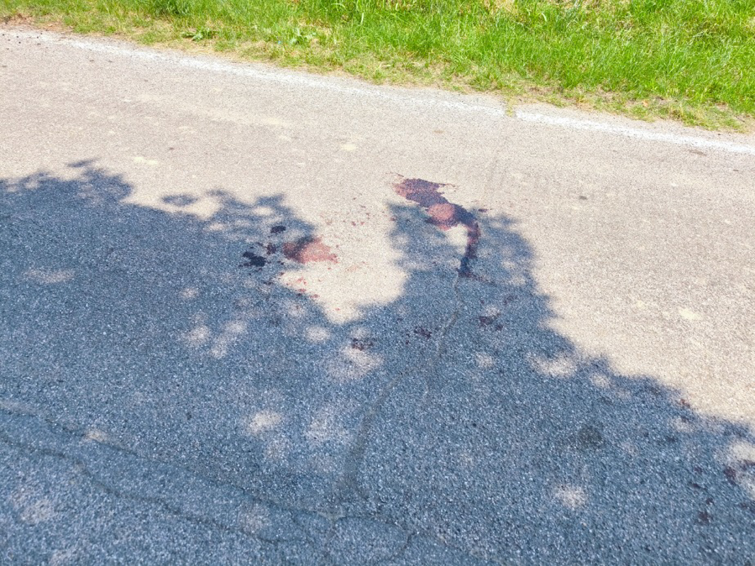 Dal territorio - Cade in bici, poi pedala ferito fino al centro