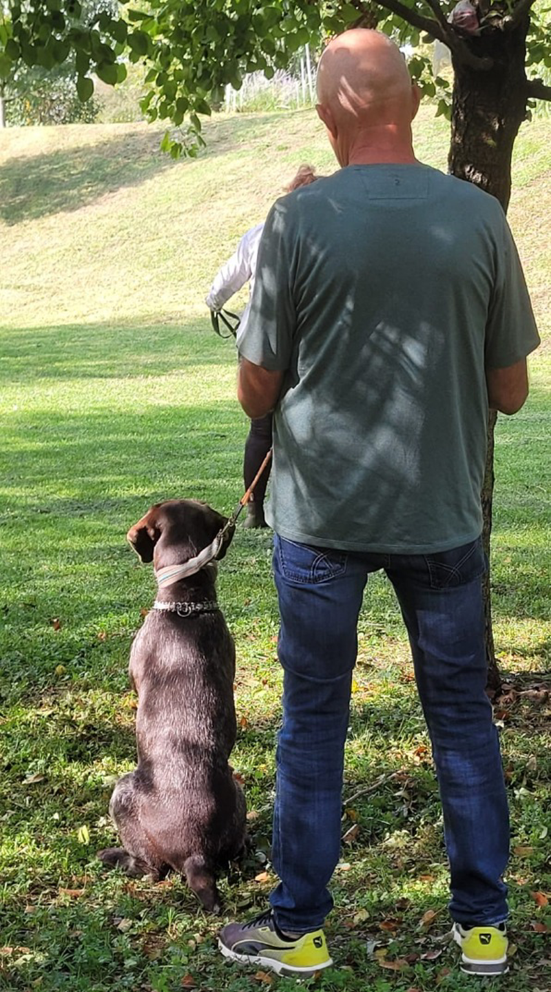 Lodi - Tutti i nuovi lavori legati agli animali d'affezione