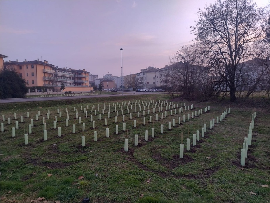 Lodi - Piantate 900 nuove piante