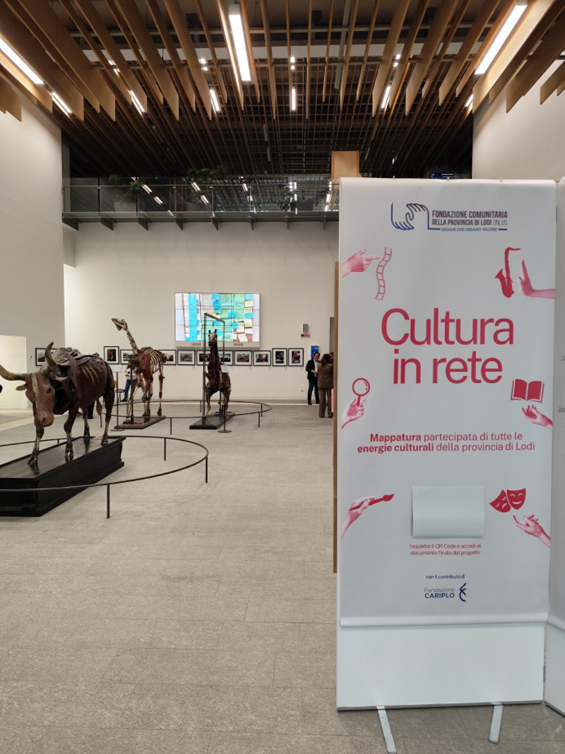 Lodigiano - Cultura in rete