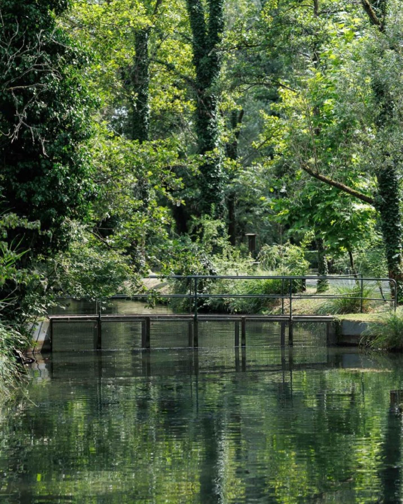 Zelo Buon Persico - Riapre il Parco Ittico