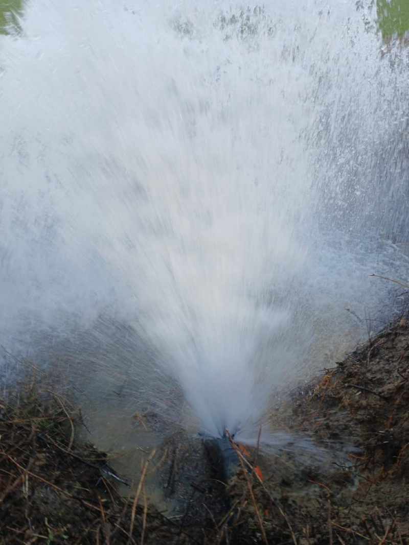 Codogno - Case senz'acqua 