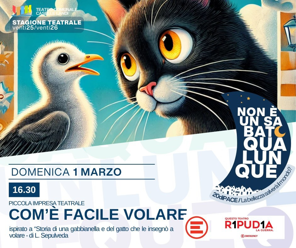 Una gabbianella a Caselle Landi