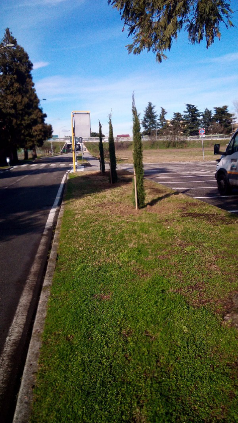 Lodi - Le microforeste avanzano