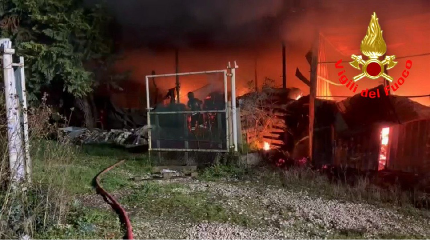 Sant’Angelo - Incendio in scuderia: cavalli in salvo