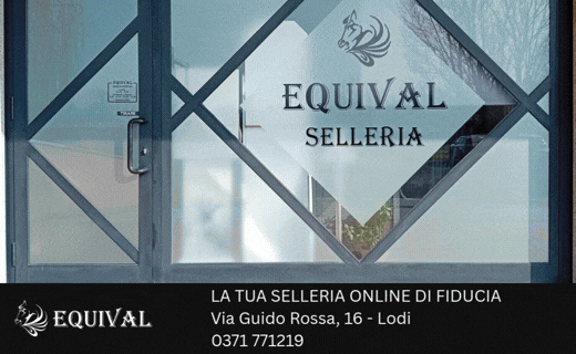 Selleria Equival