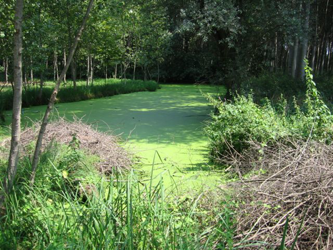 Casalpusterlengo - Nuove piste ciclopedonali