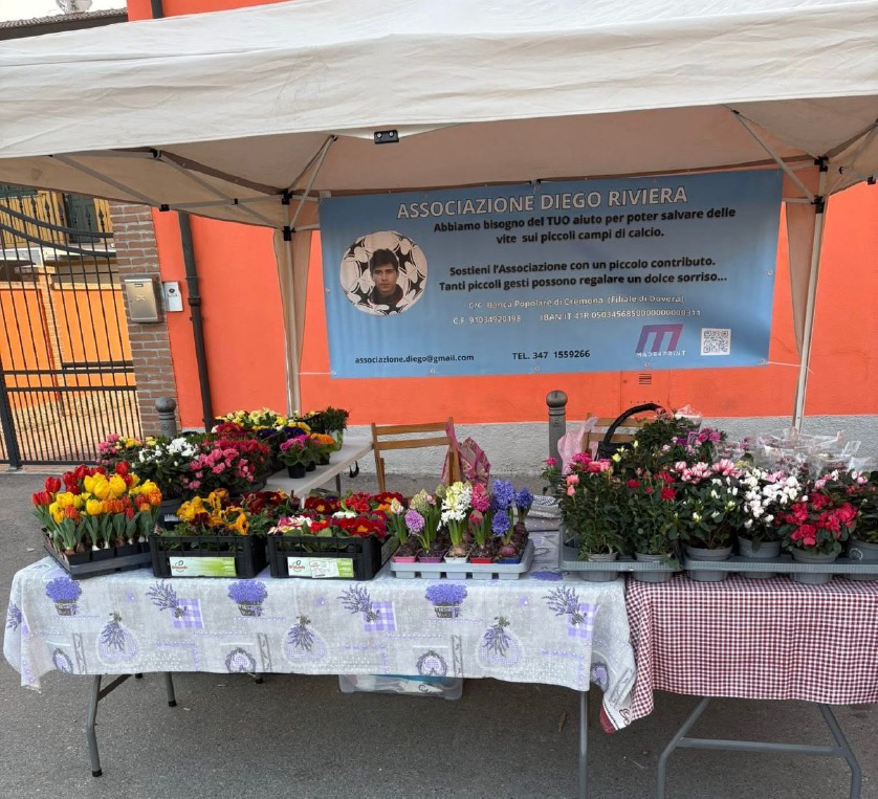 Dovera - I fiori di Diego