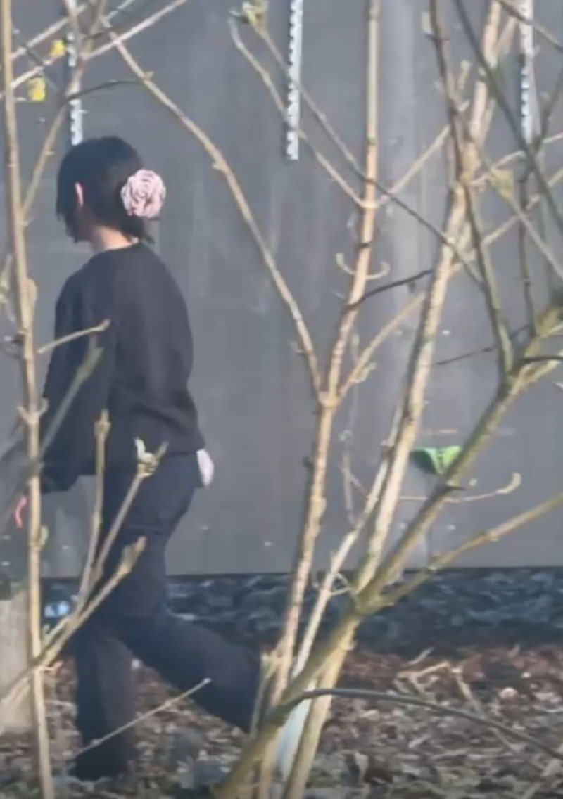 Crema - Palestra per lavagna