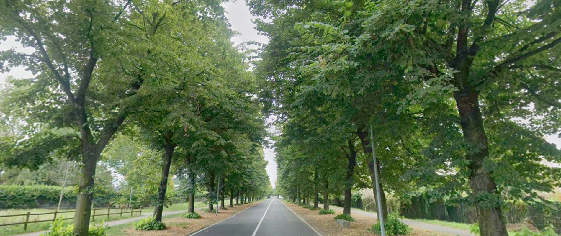 Lodi - Via Piermarini: gli orti torneranno pubblici