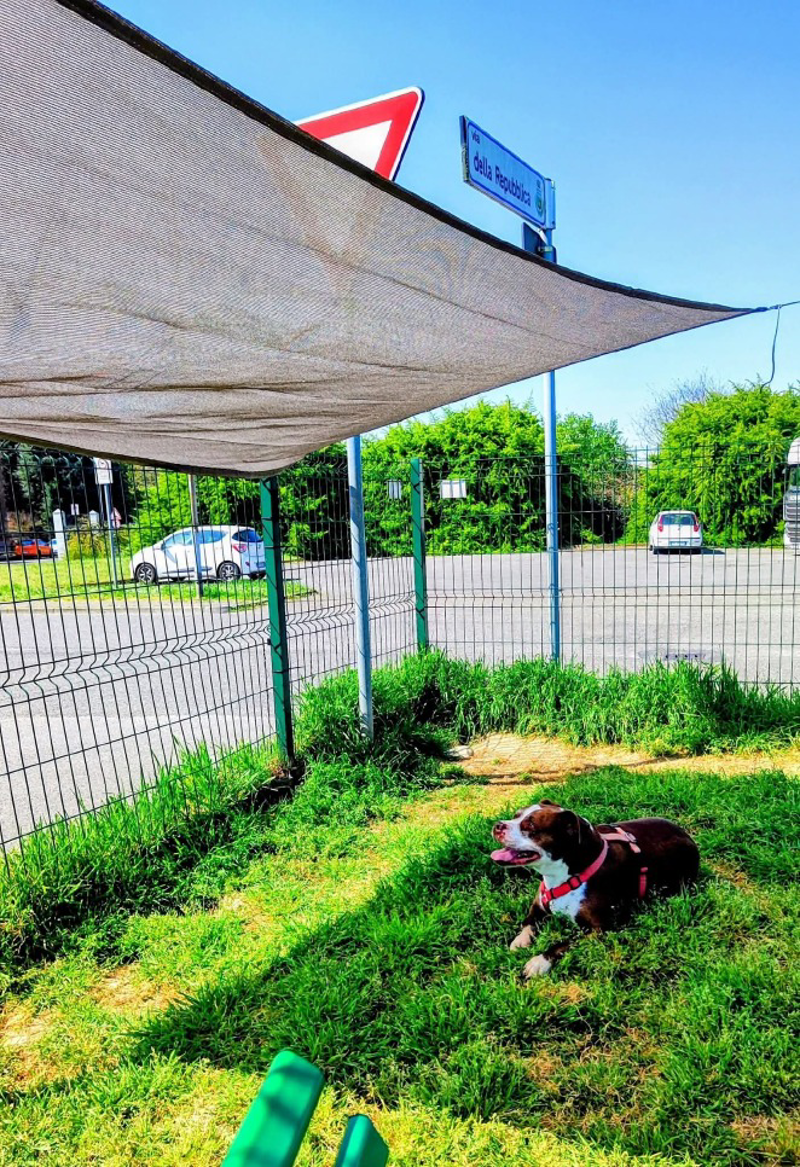 Tavazzano - Ombra fai-da-te