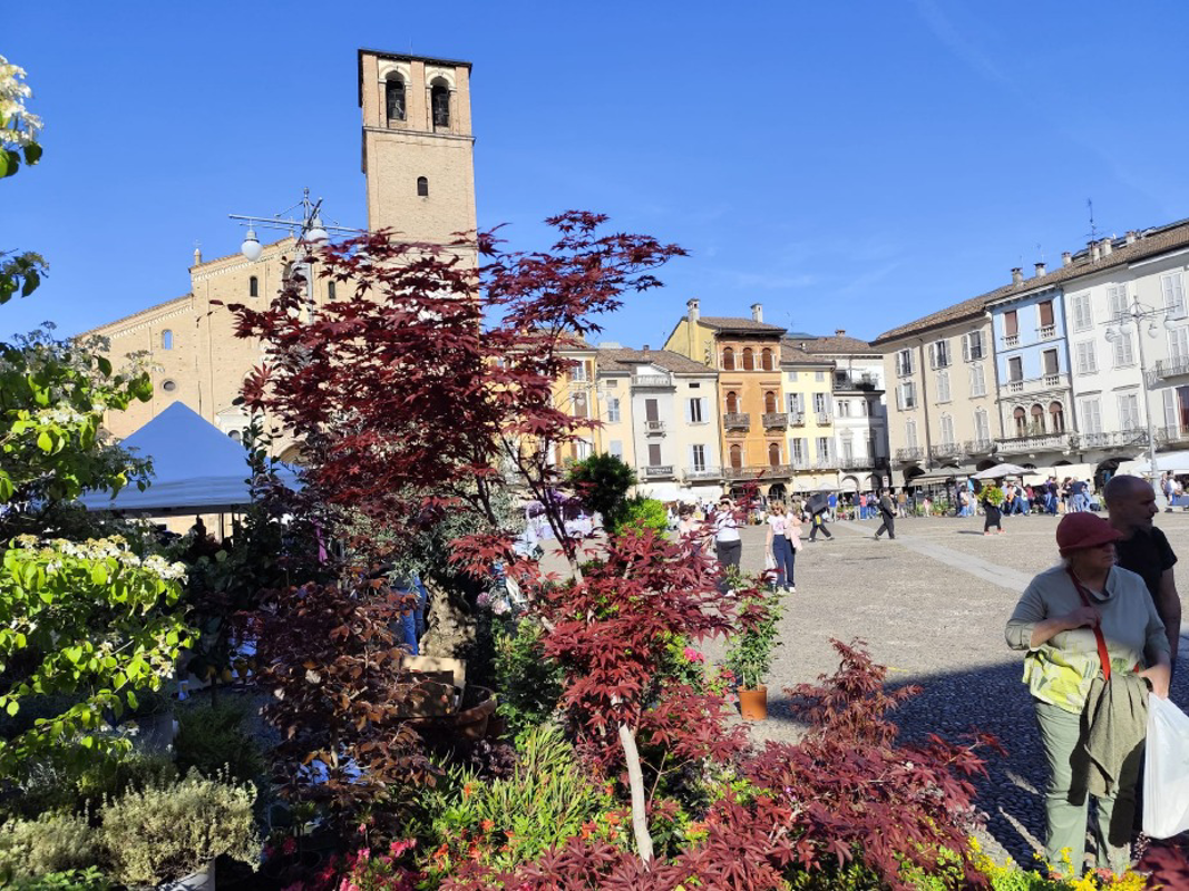 Lodi - Fiori in piazza
