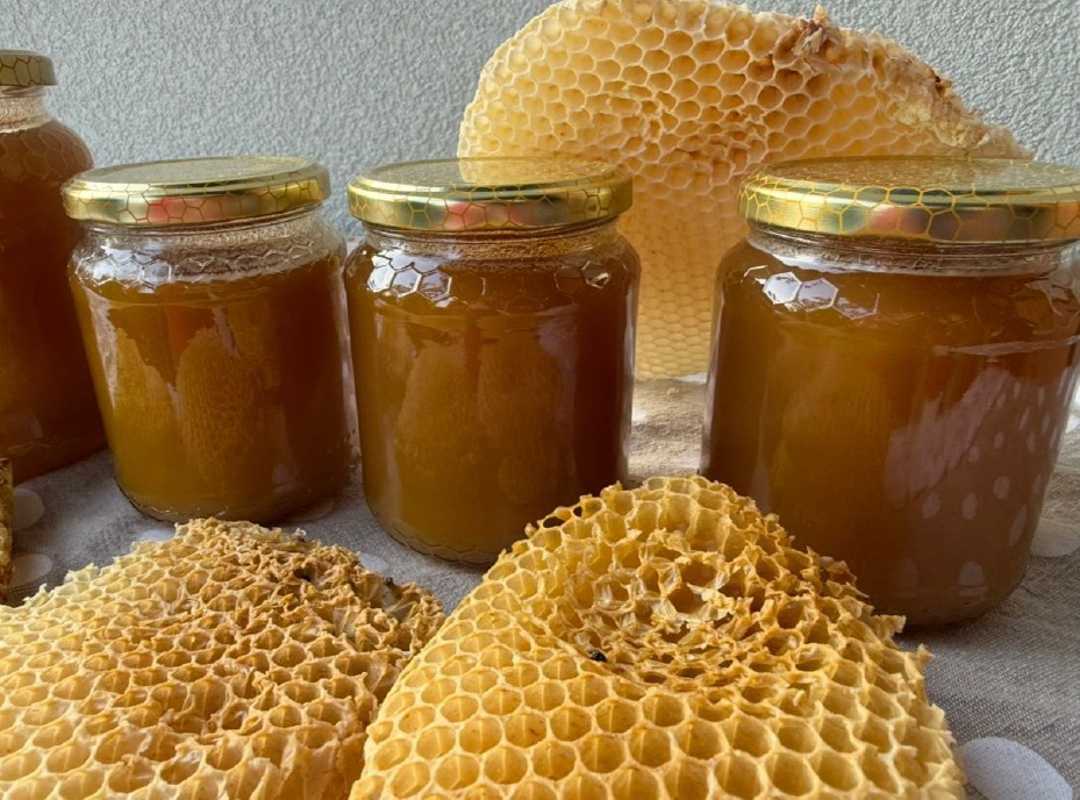 Lodi - Giornata delle api
