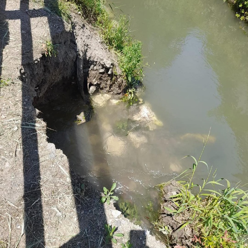 Livraga - Cede un tratto spondale in via Carlo Alberto