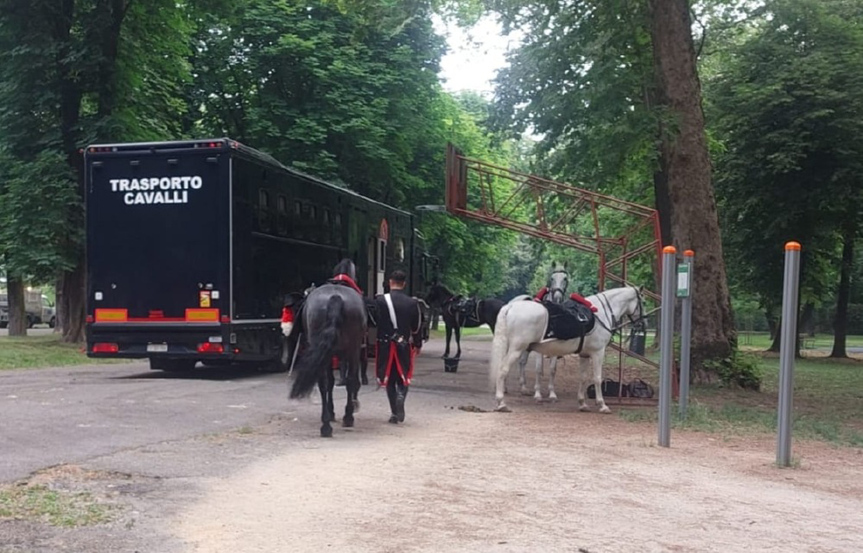 Lodi - Cavallo bianco scappa