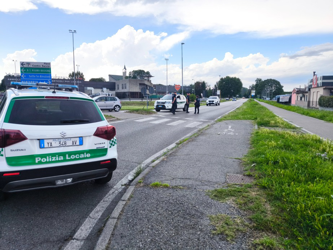 Lodi - Pianta sulla provinciale, strada chiusa 