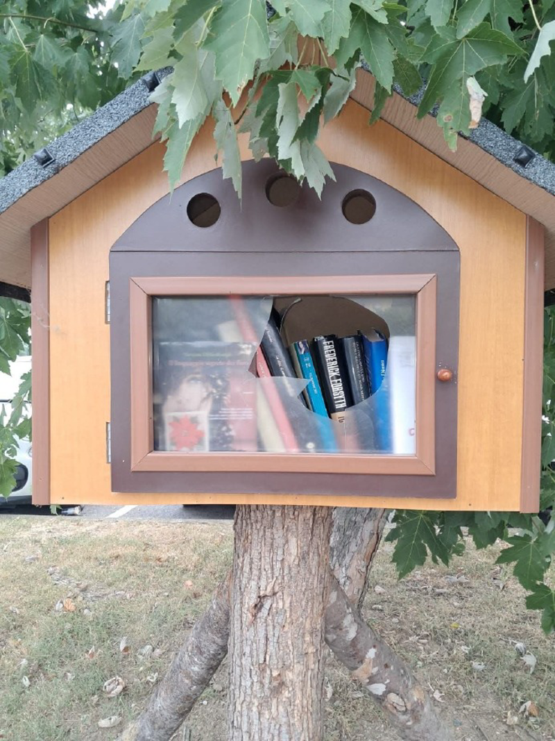 Borgo San Giovanni - Vandali contro la casetta dei libri