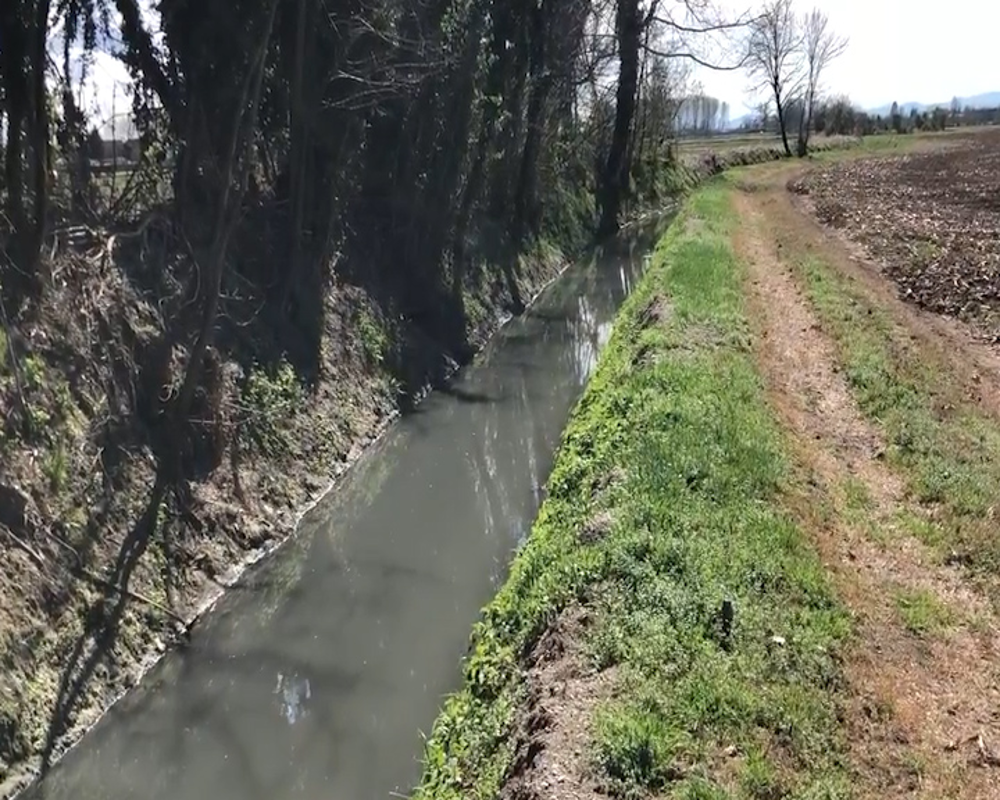 Colturano - La Roggia Colturana va in Regione