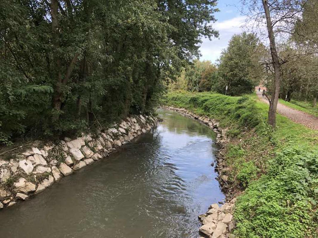 Casalpusterlengo - Pesci morti nel Brembiolo