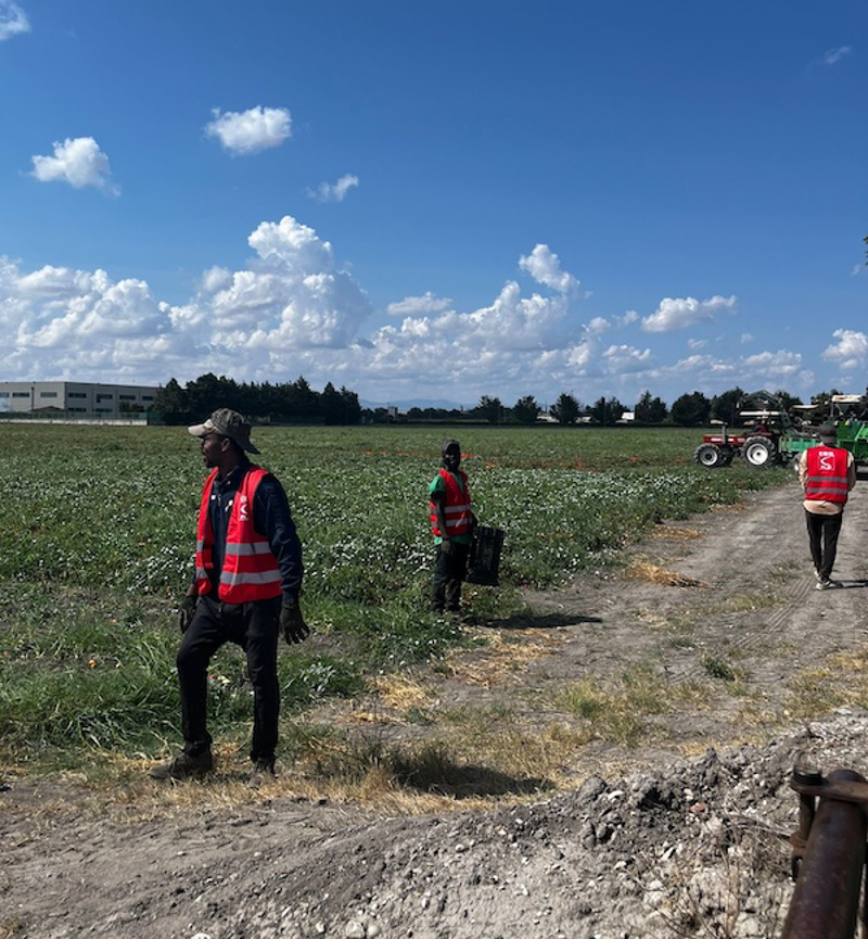 Lodi - Nasce la Rete del Lavoro Agricolo di Qualità