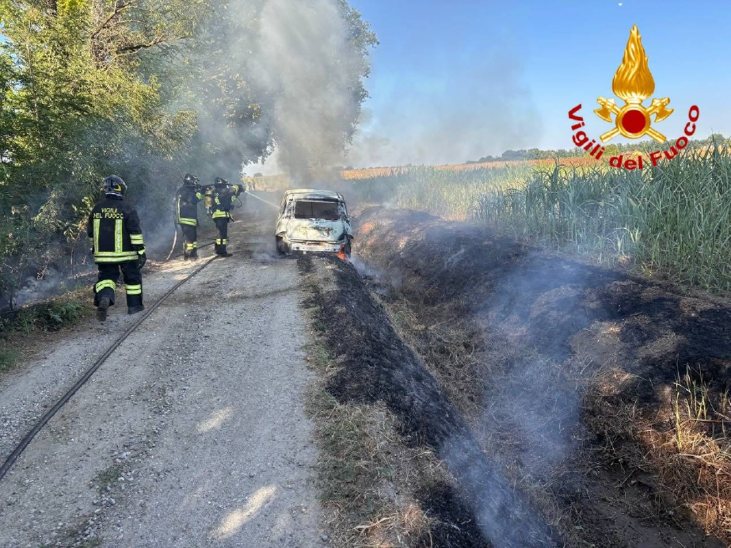 Cavacurta- Panda in fiamme, campi a fuoco