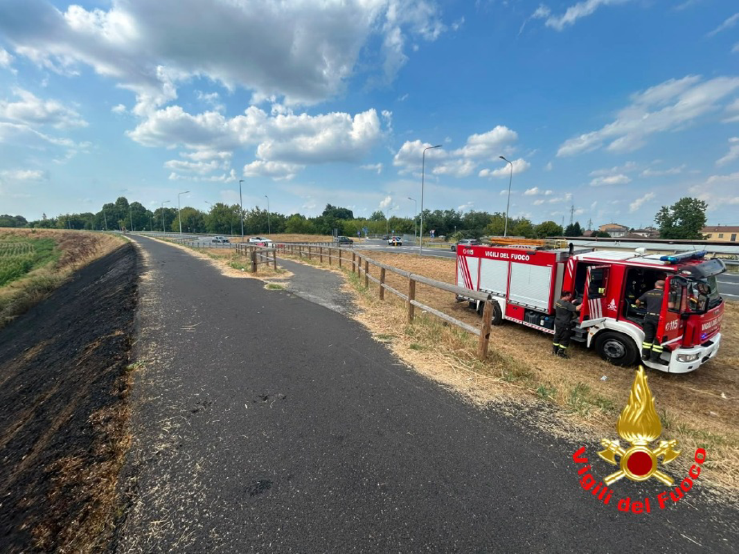 San Colombano al Lambro - Incendi dolosi vicino ai vigneti