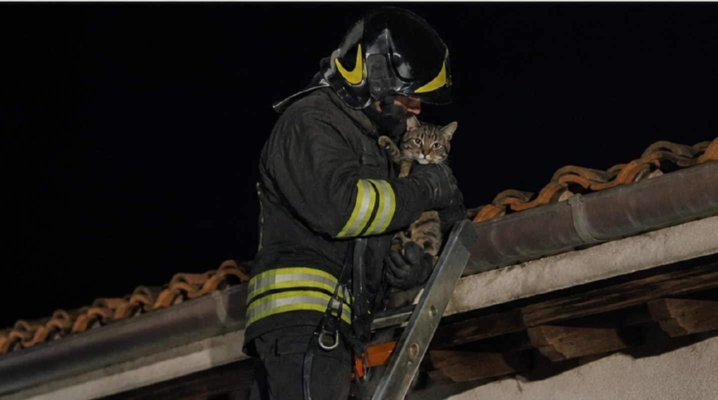 Castiglione d'Adda - Gatto bloccato sul tetto