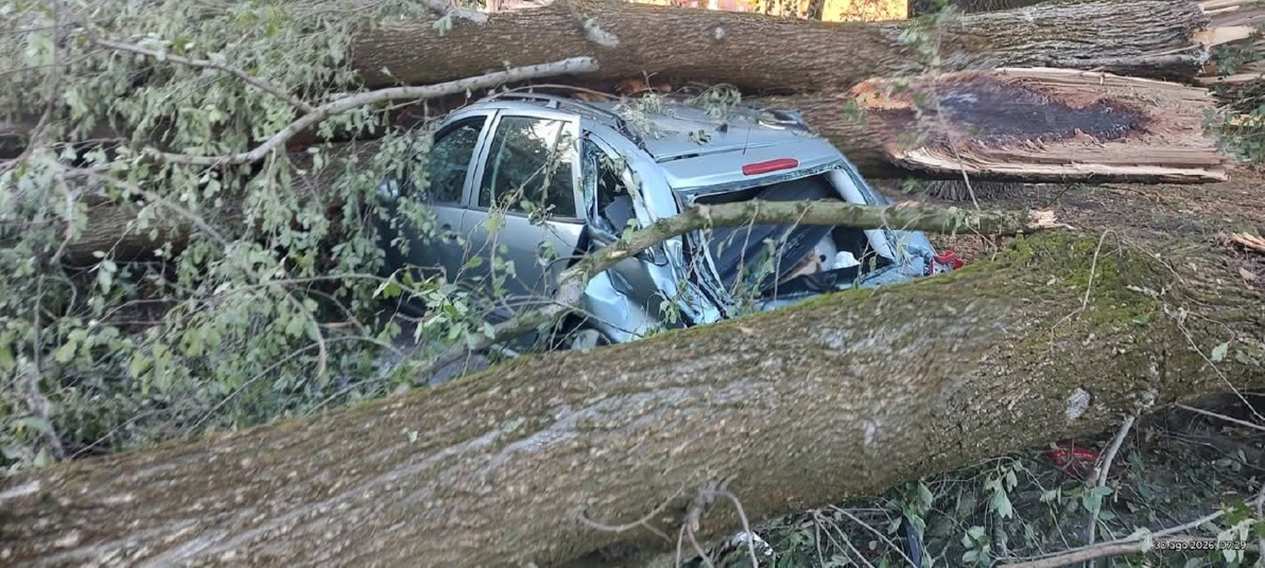 Tavazzano - Alberi caduti, Morosini attacca il comune