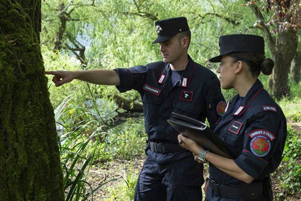Caccia - Caccia, i controlli
